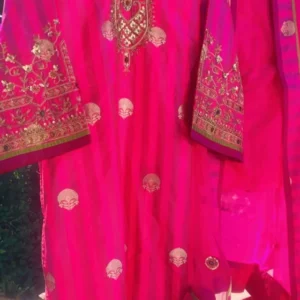 viva virsa garment 4